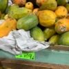 Papaya