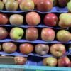 Apples
