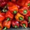 Red Bell Peppers