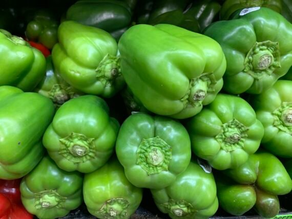 Green Bellpepper