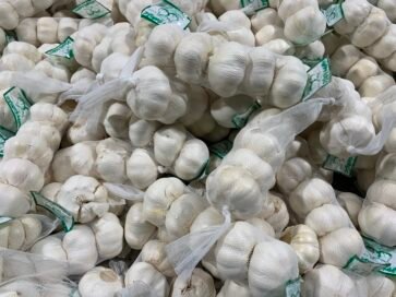 Garlic 1 Bunch 5 PCS